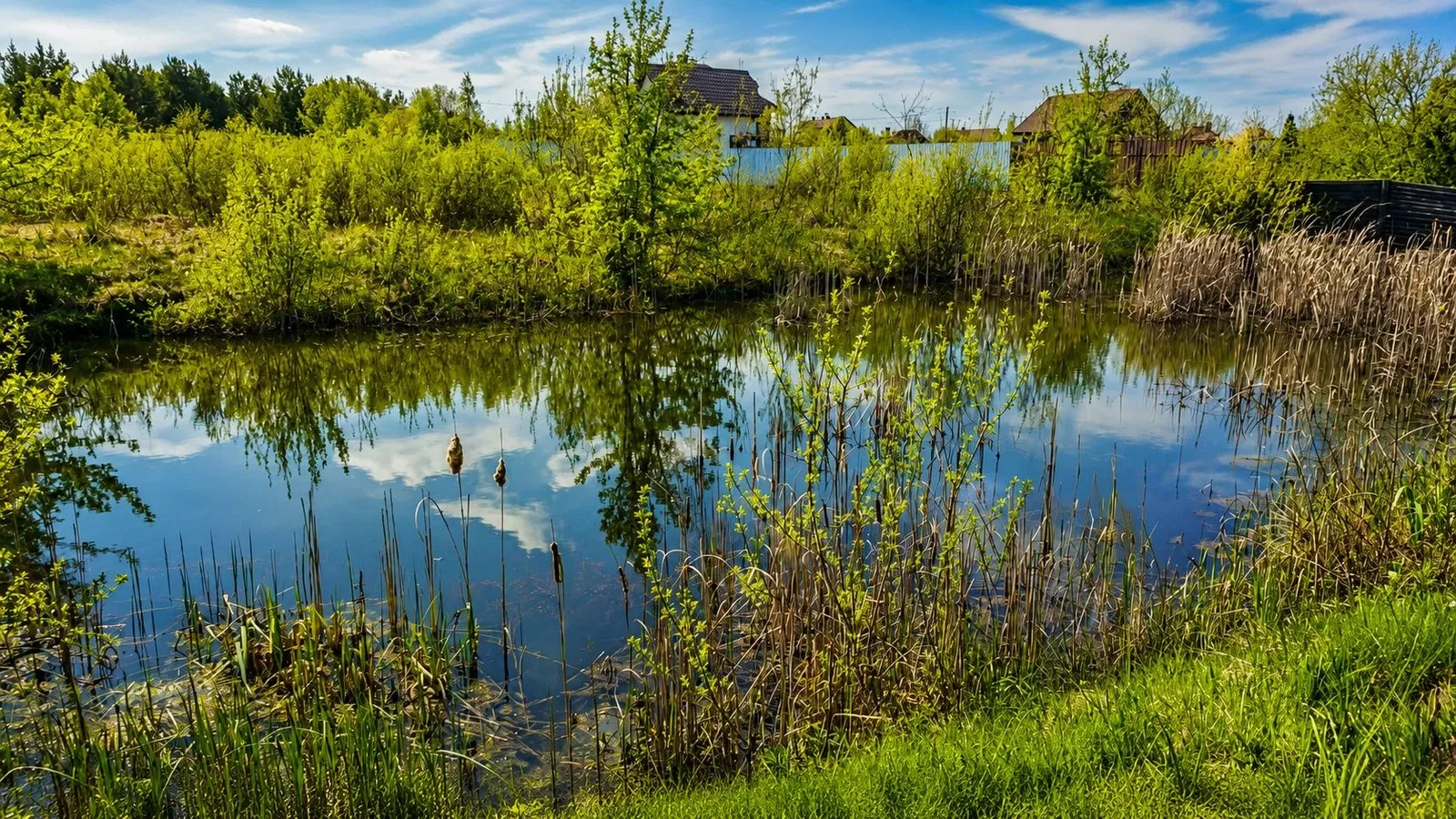 Ділянка 32 сотки, Кам’янка: власне озеро, 5 км до Житомира - фото 1
