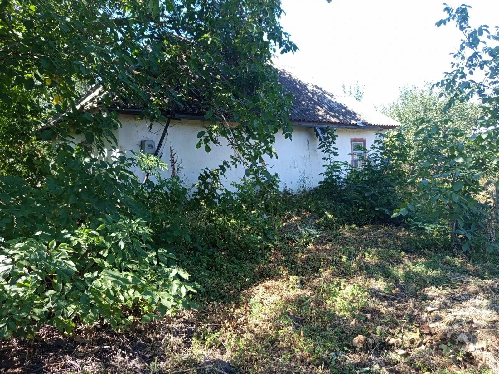 Дом, Поповка: 42 сотки, участок выходит к пруду