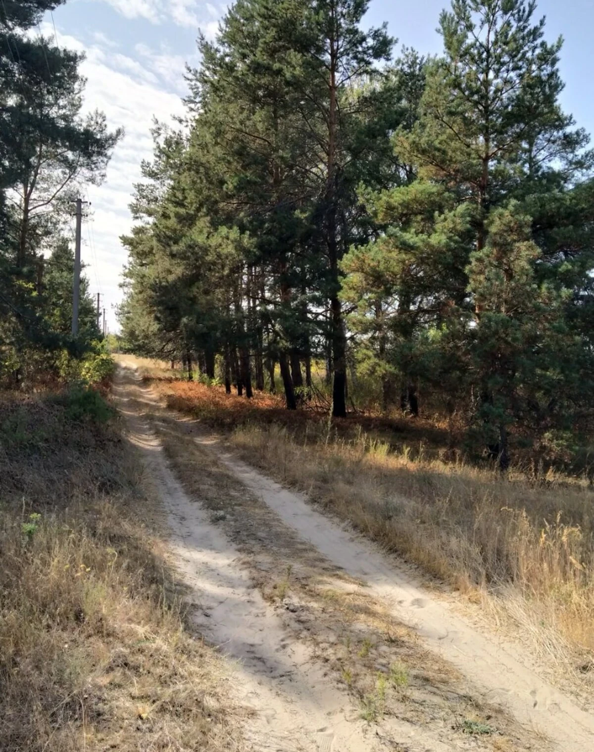Ділянка 75 соток, Михайлівка (Канів): під житлову забудову, електрика, фото 5