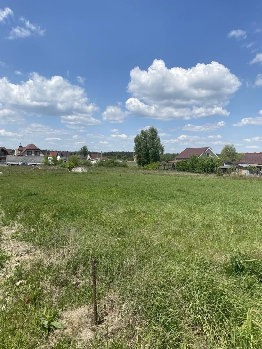 Ділянка 23,88 сотки, Забороль: фундамент, газ і електрика по вулиці - фото 3