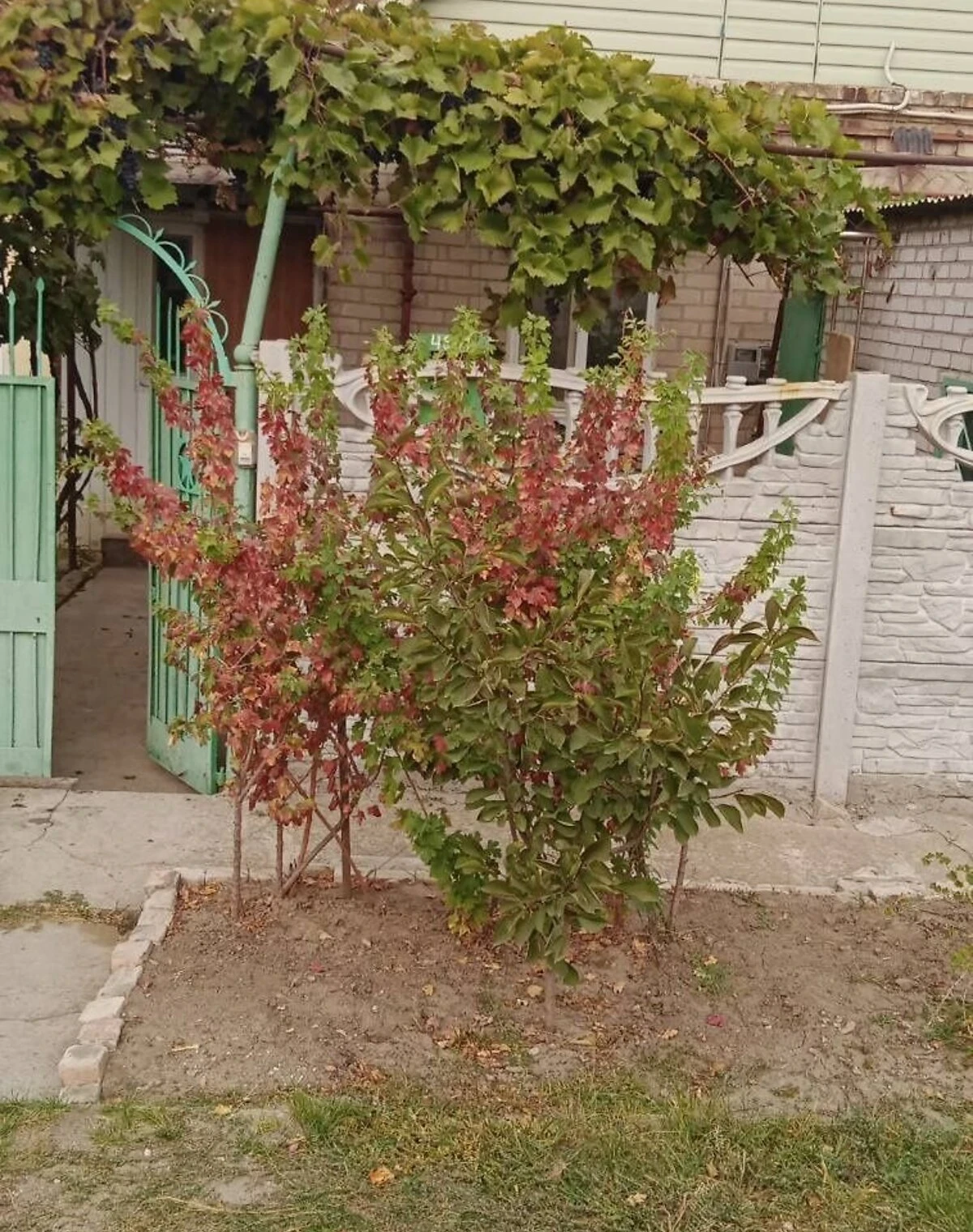 Частина будинку, Селище Димитрова: гараж із підвалом, сарай - фото 1