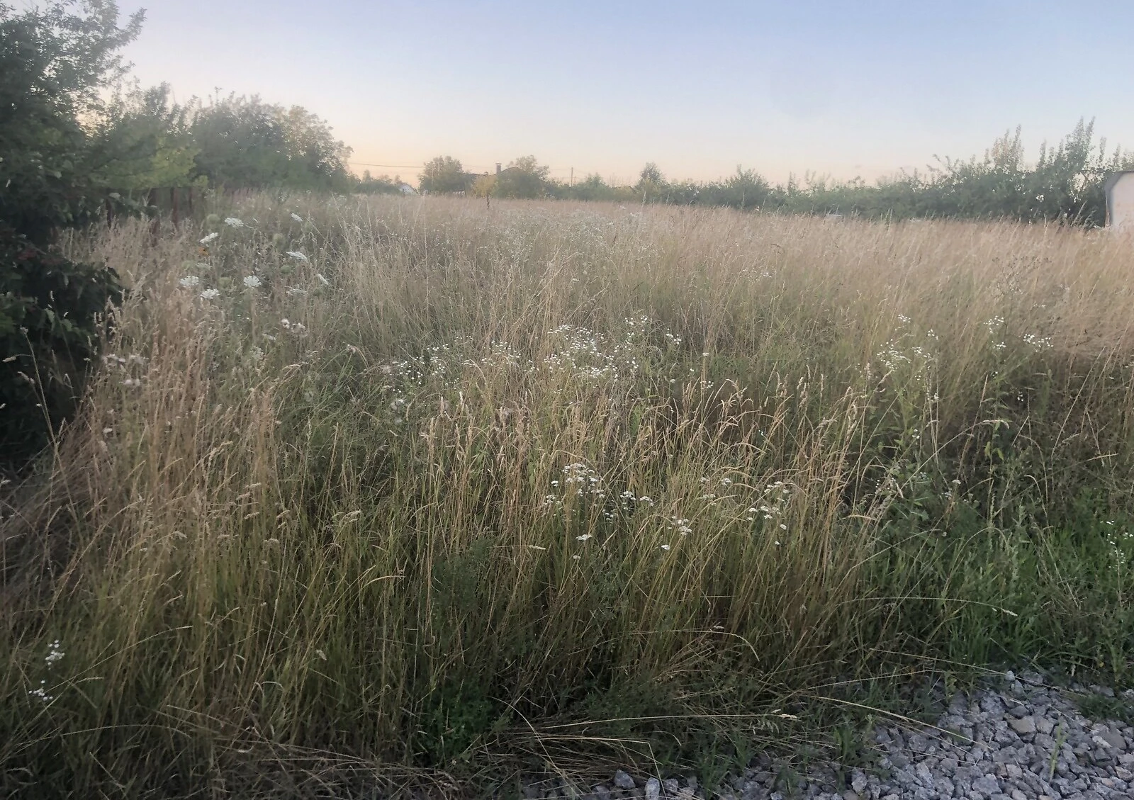 Ділянка 19.22 сотки, Парпурівці: під житлову забудову, торг можливий - фото 2