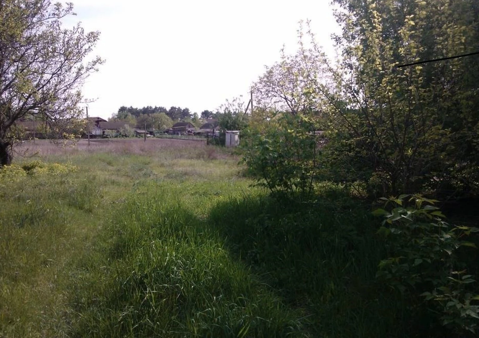 Будинок, Кедина Гора: ділянка 37 соток, глинобитні стіни - фото 5