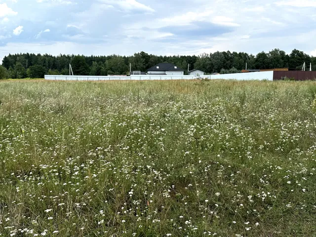 Ділянка 10 соток, Горенка: поруч Блакитне озеро, можливий торг, фото 2