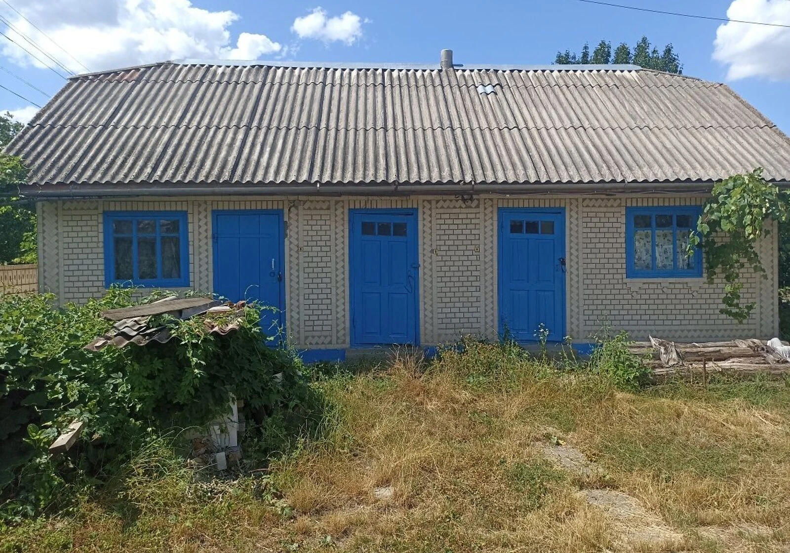 Будинок, Яланець: ділянка 25 соток, гараж у дворі, літня кухня, фото 5
