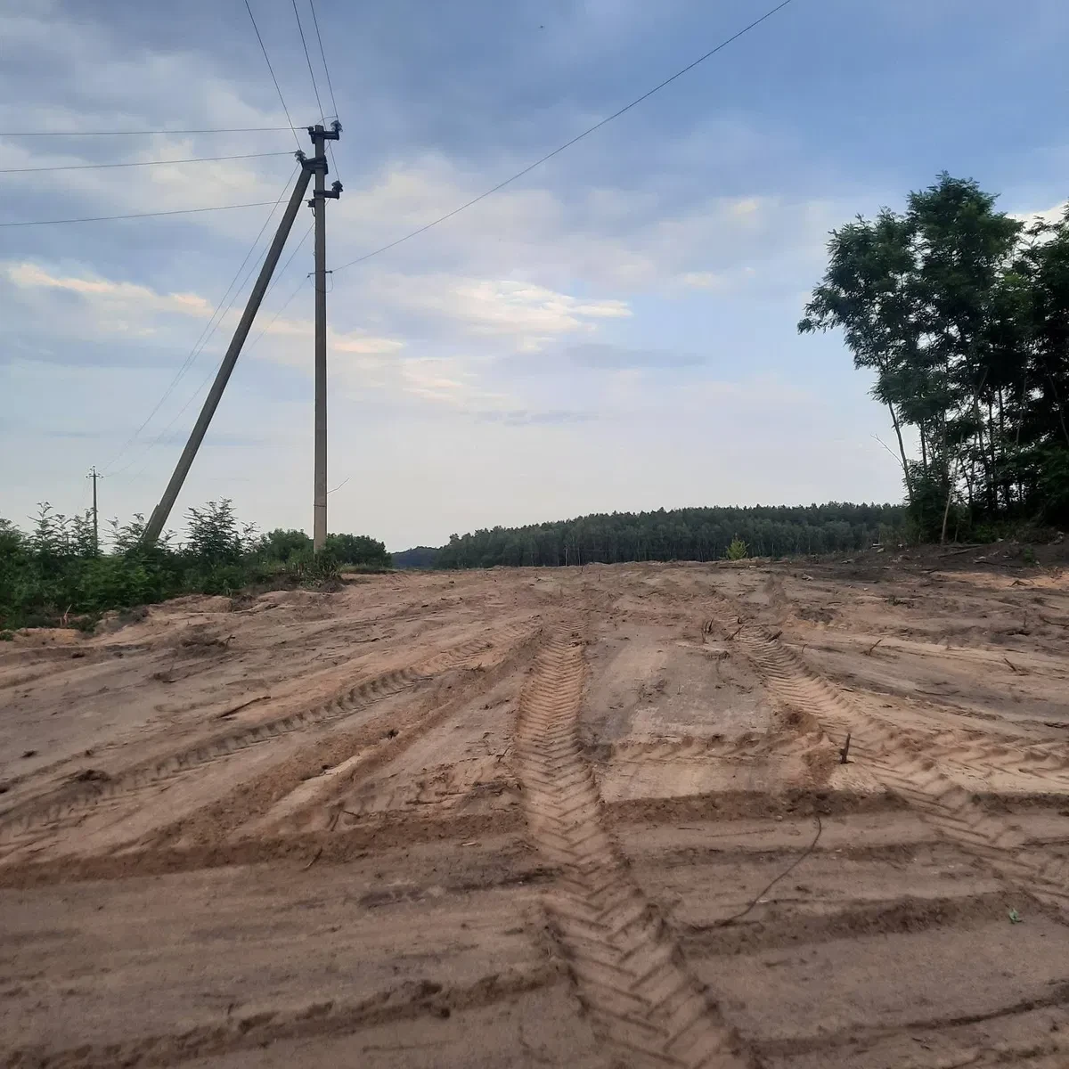 Участок 40 соток, Березань: под строительство, лес и озеро, фото 2