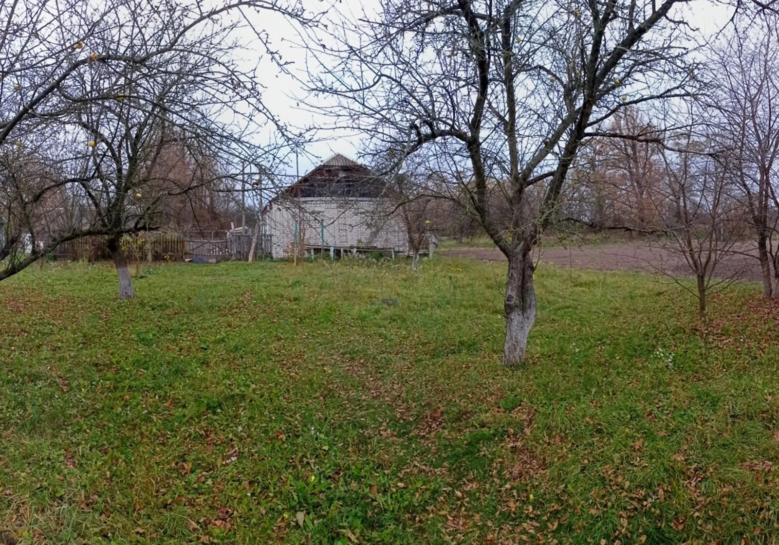 Ділянка 25 соток, Троянів: під житлову забудову, електрика та газ - фото 4