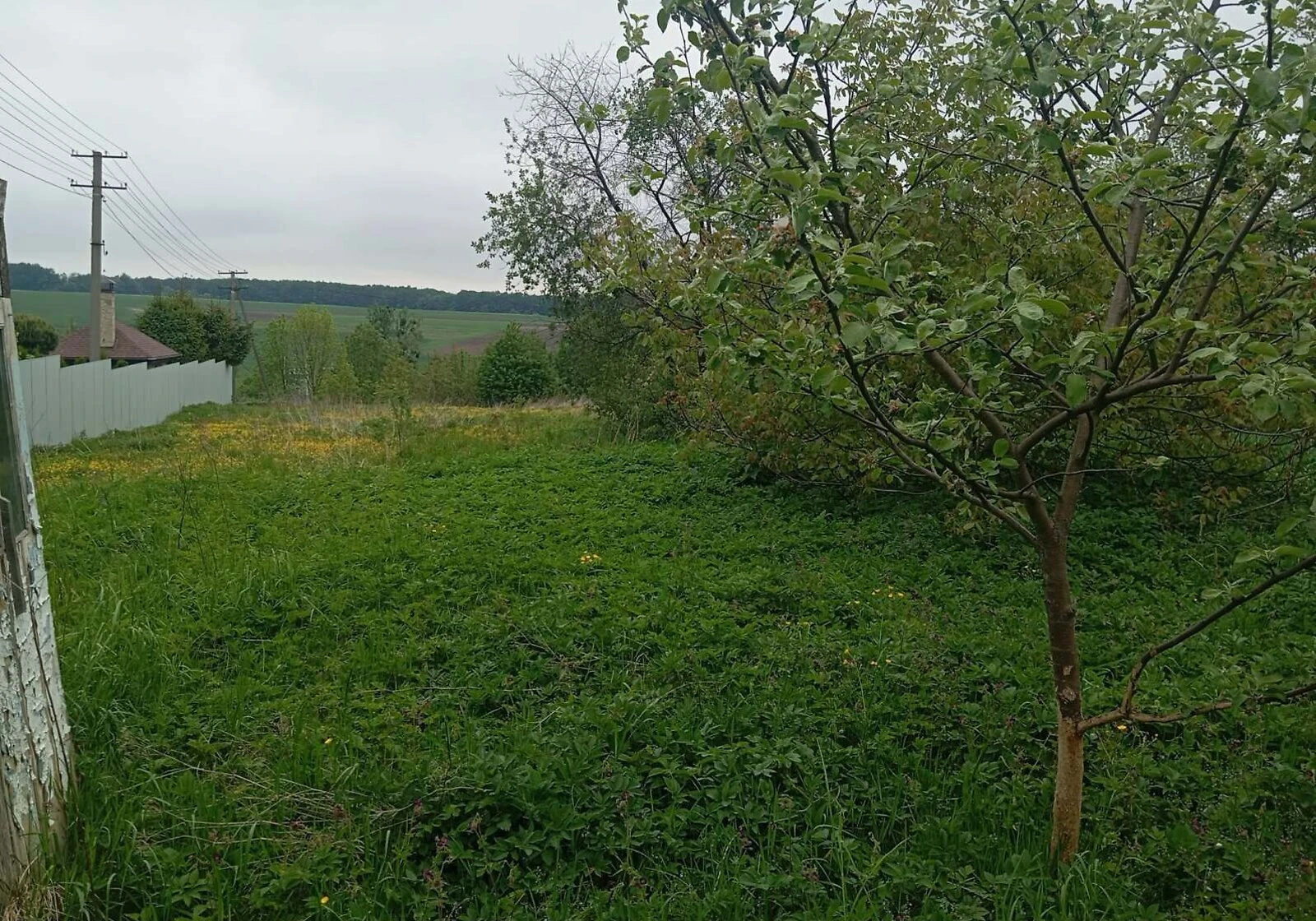 Дом, Залесье: кирпичные стены, две комнаты, фото 4