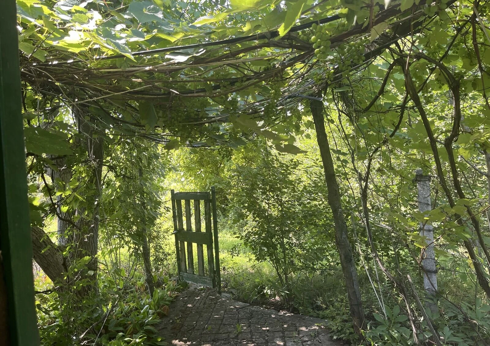 Дача, Кулебовка: беседка 13 м², скважина, фото 2