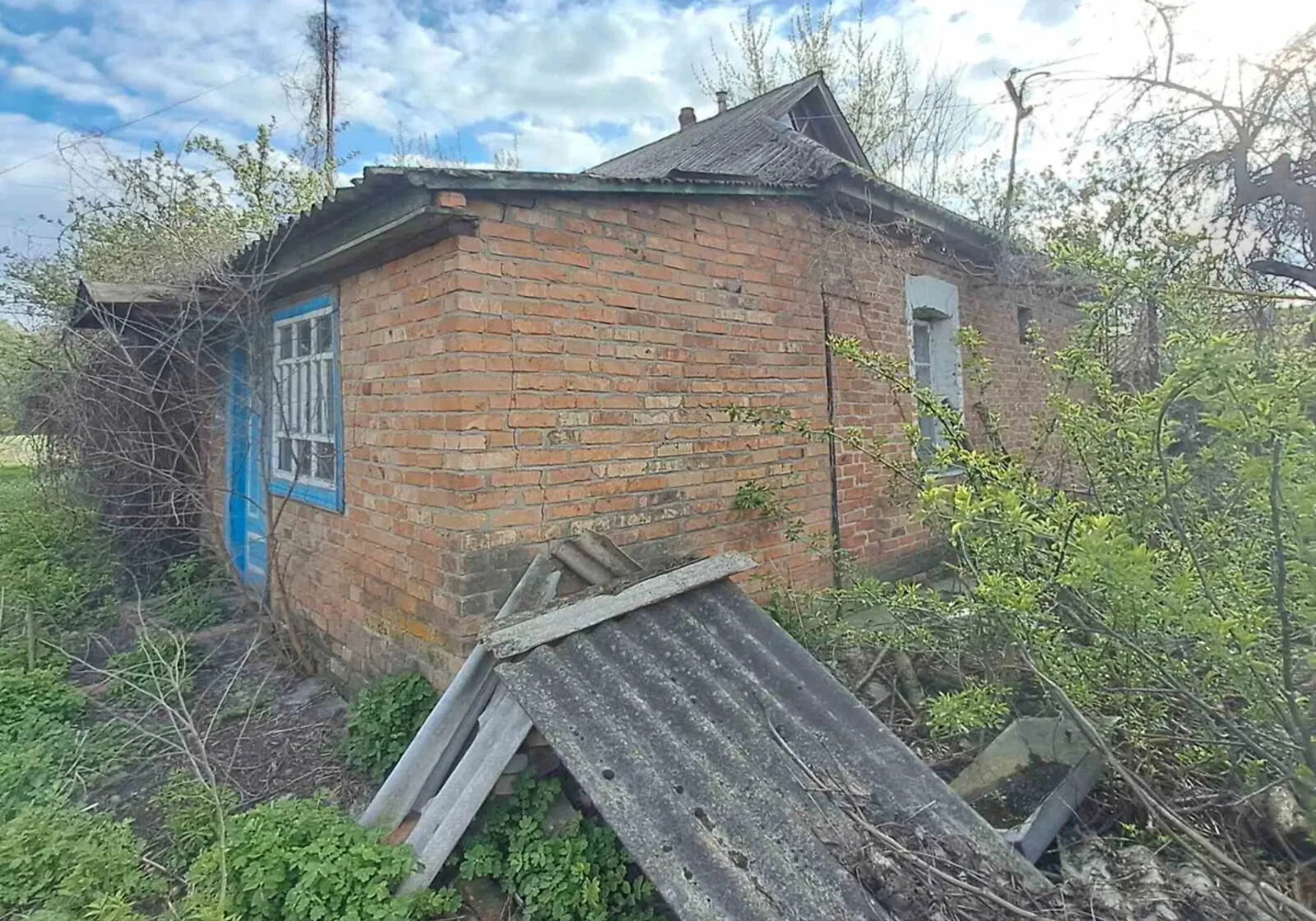 Дом, Андрияшовка: летняя кухня, кирпичные стены, фото 4