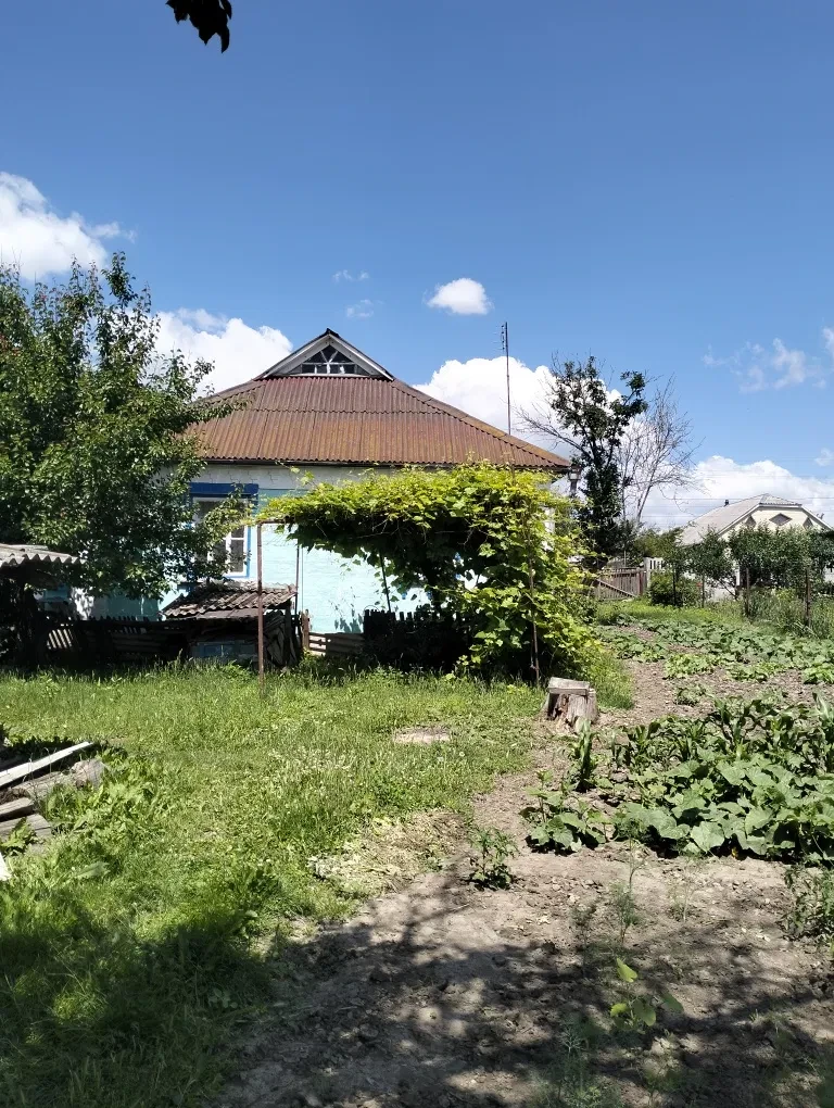 Будинок, Ставище: родючий сад і город, 15 соток, дві системи опалення, фото 3