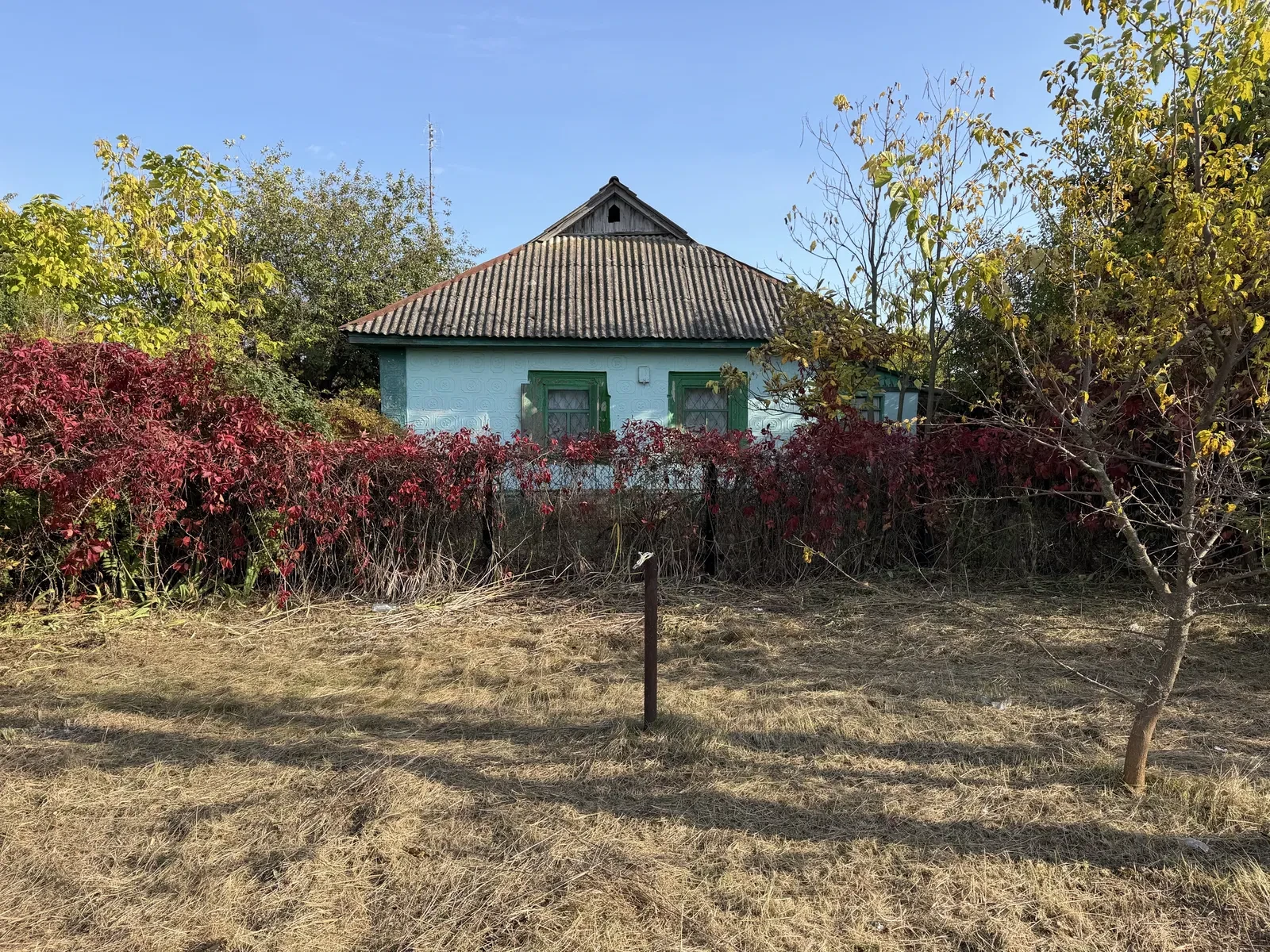 Будинок, Вереміївка: сад, альтанка з мангалом, схили Дніпра - фото 1
