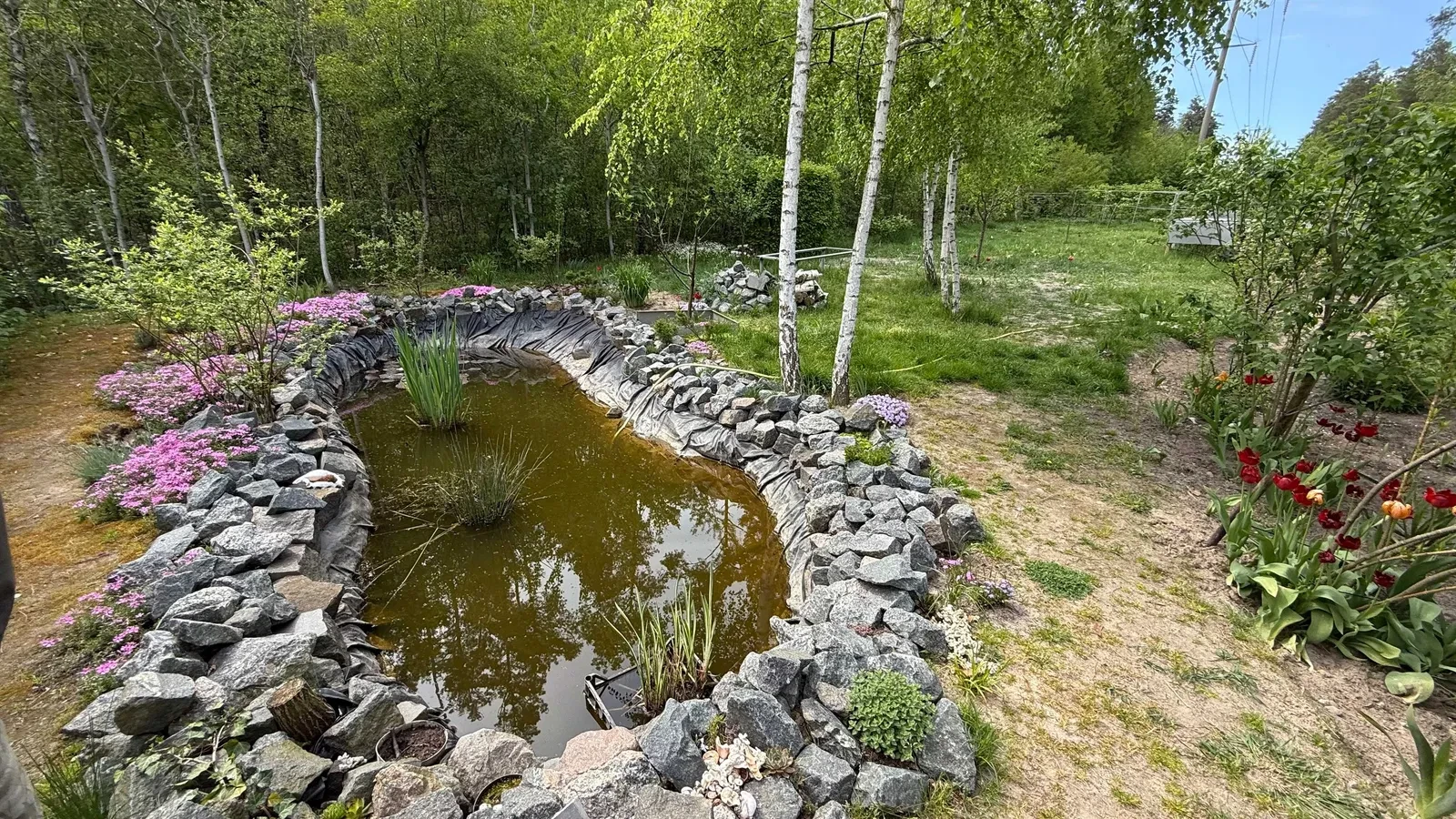 Будинок, Мархалівка: авторський ремонт, басейн, резервне живлення - фото 2