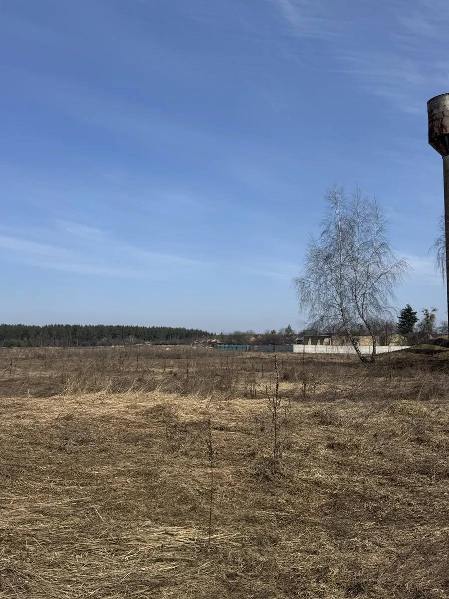 Ділянка 16 соток, Здвижівка: асфальтована дорога, електрика і газ, фото 3