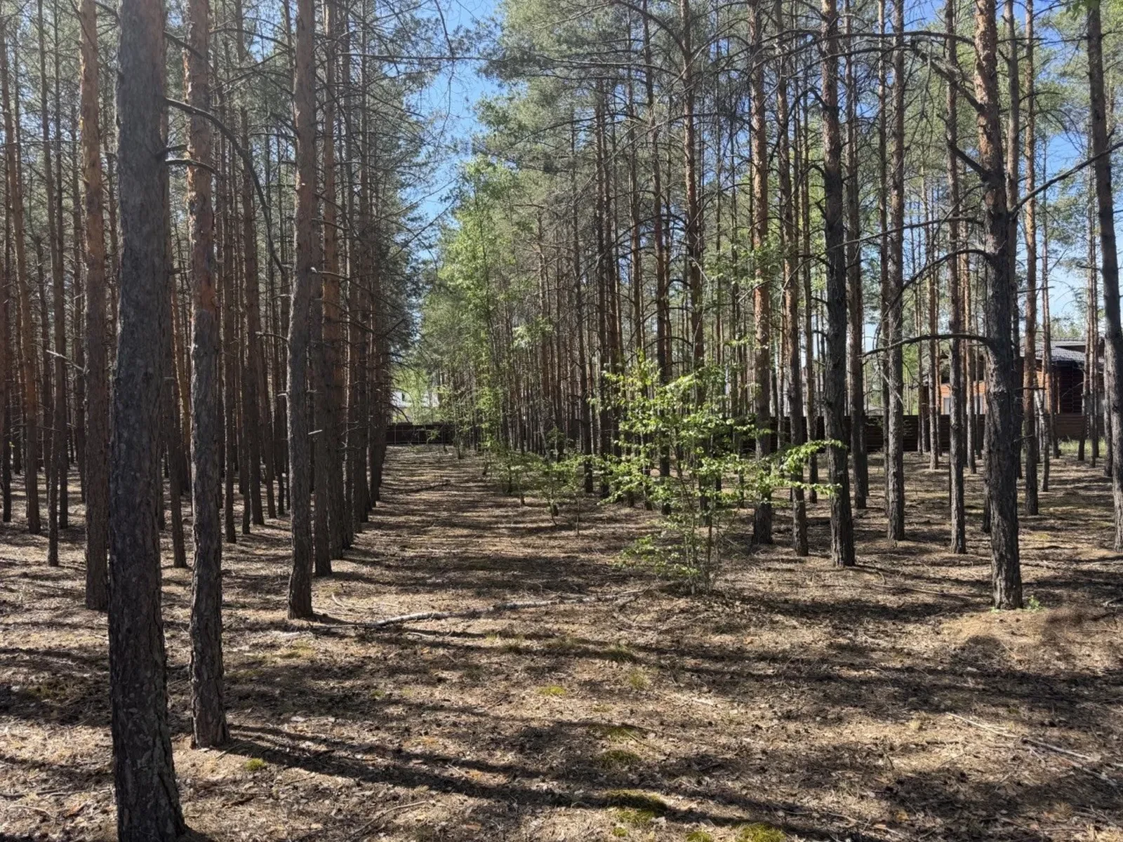 Участок 12,5 сотки, Лебедевка: 200 м до Киевского моря, 15 кВт - фото 1