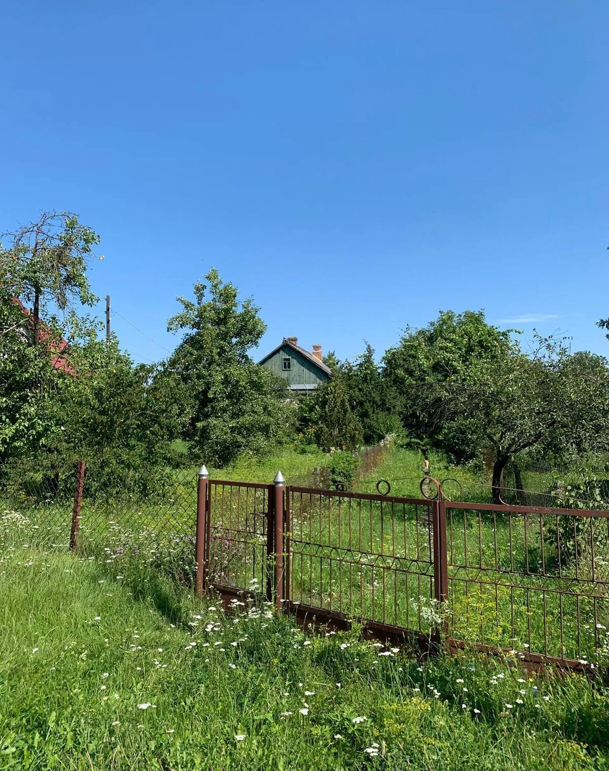 Будинок, Турійськ: 30 соток, бесідка, свердловина