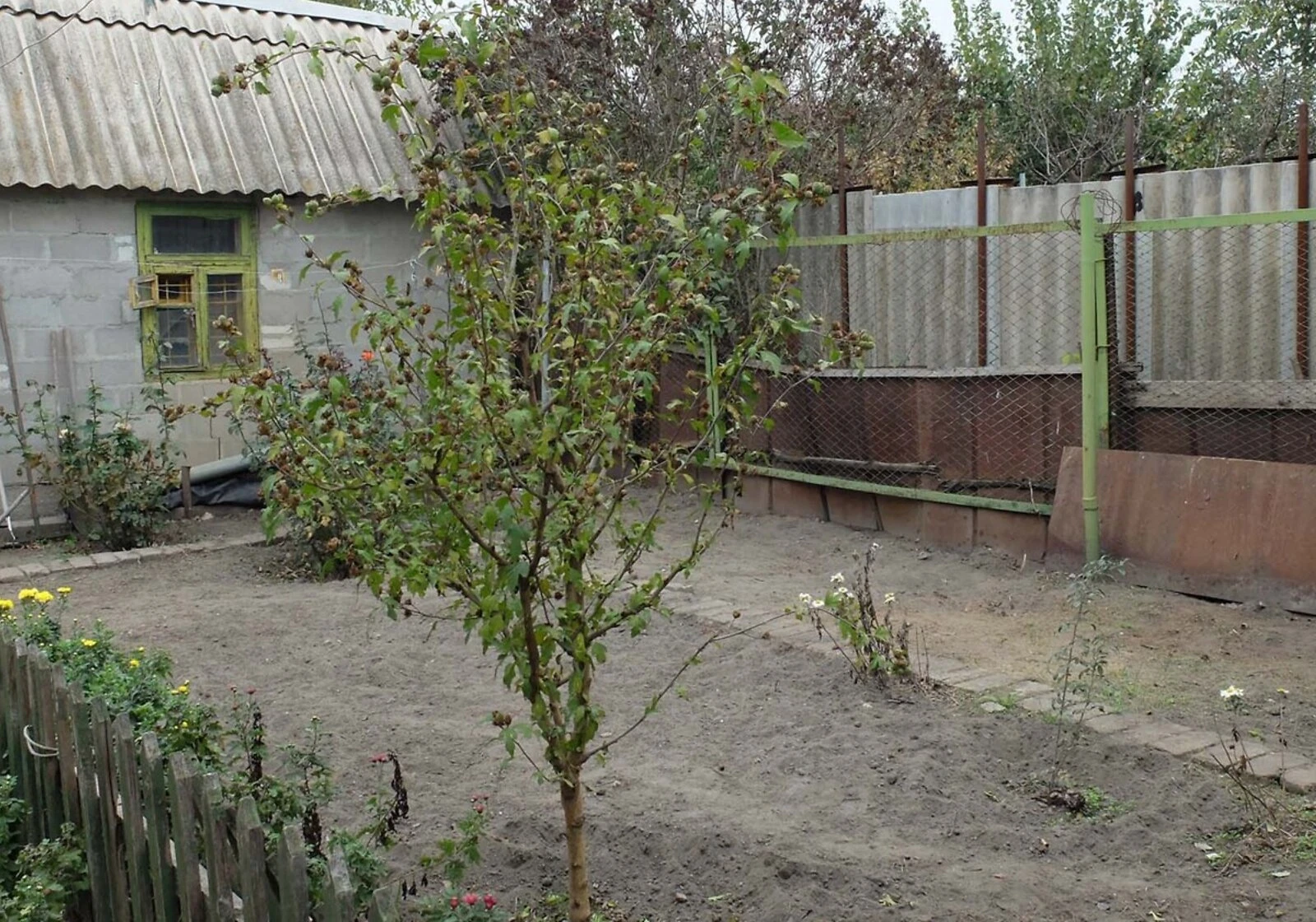 Частина будинку, Заводський: 2 сотки, газ без світла - фото 2