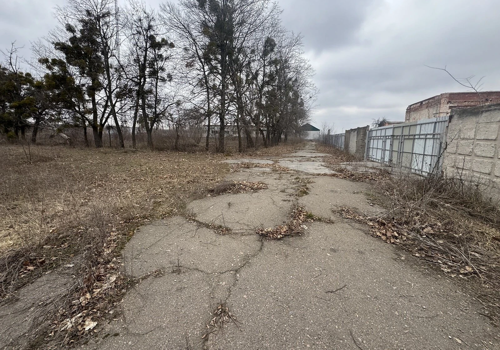 Складське приміщення, Ладижинка: ділянка 2,2 га - фото 2