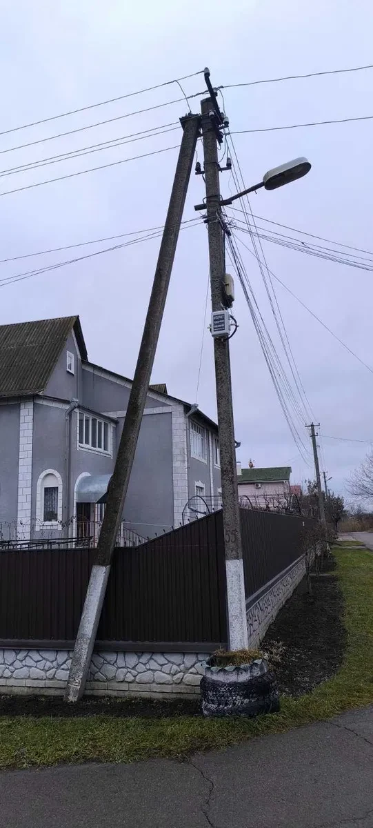 Участок 12 соток, Сквира: ягодные саженцы, новый забор - фото 2