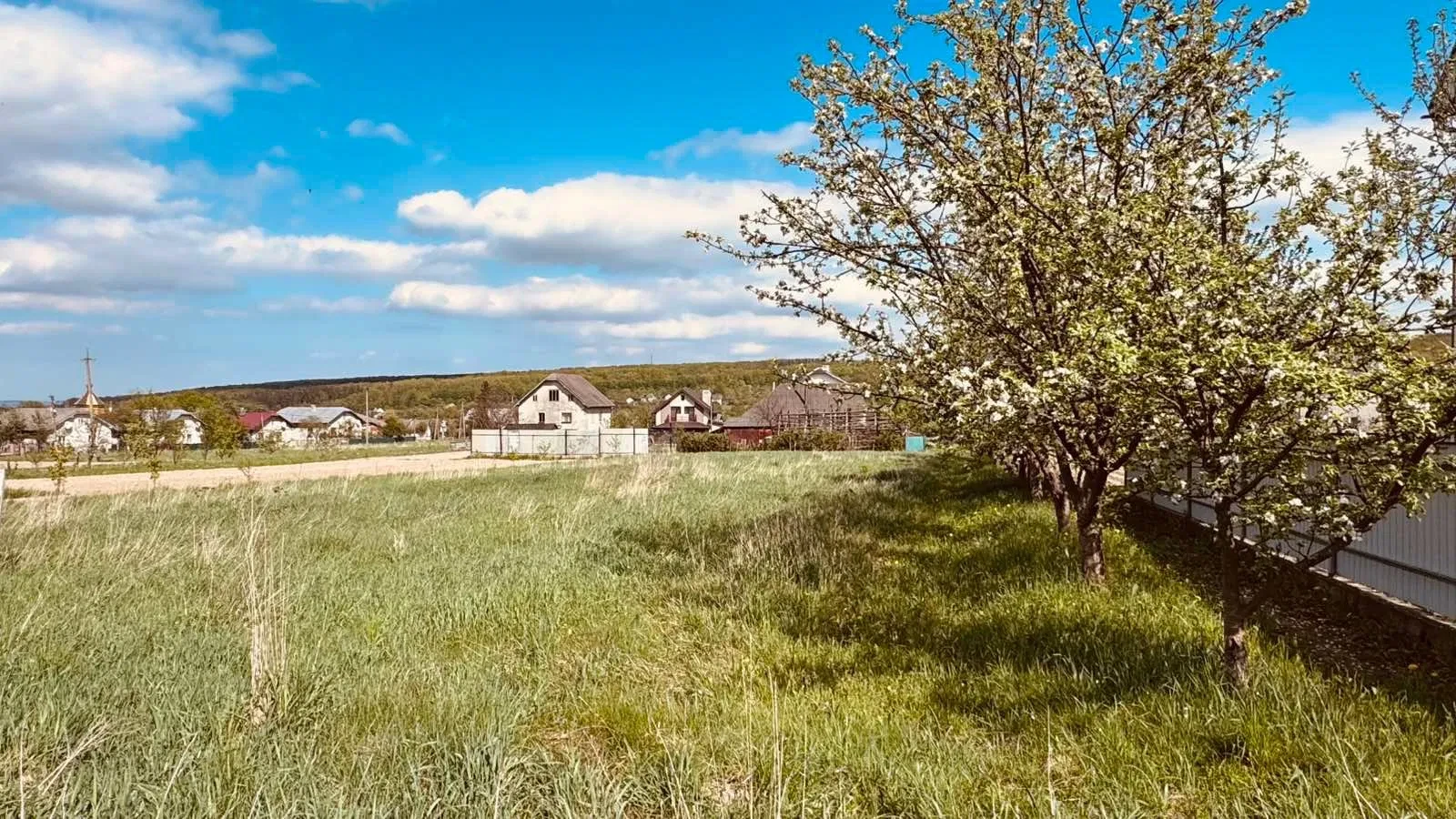 Ділянка 15 соток, Павлівка: під житлову забудову, сад із 21 деревом - фото 2