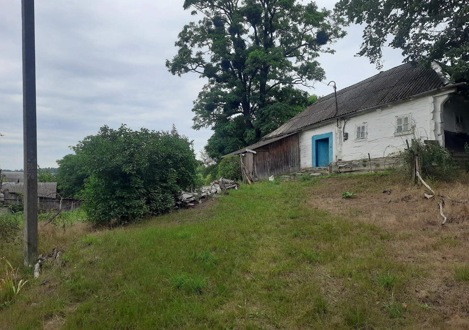 Ділянка 25 соток, Левків: під житлову забудову, торг можливий - фото 2