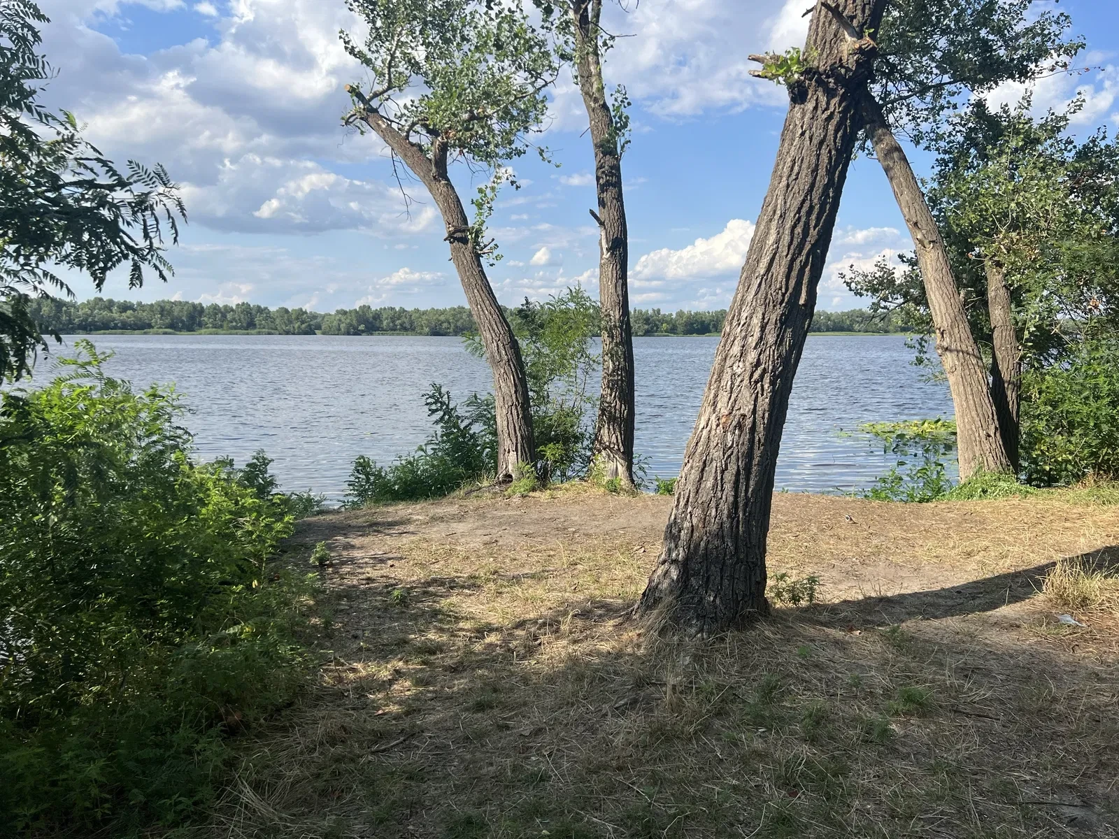 Участок 10 соток, Сухочовка: красная линия, Днепр в 150 м