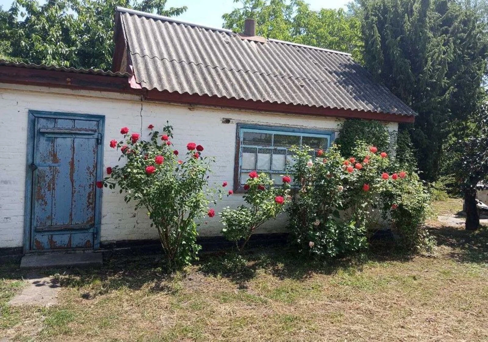 Будинок, Пустовійтове: веранда, ділянка 41.2 сотки, фото 4