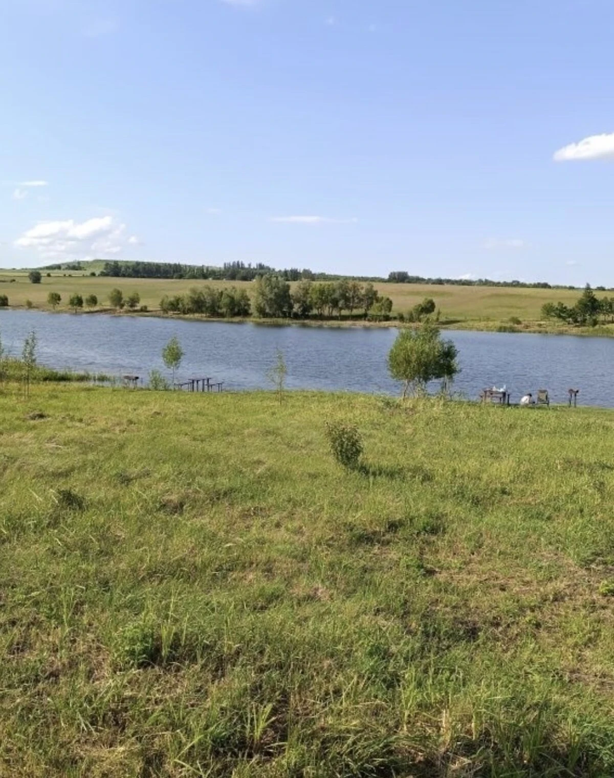 Ділянка 127 соток, Великий Кучурів: під житлову забудову, під гараж - фото 2