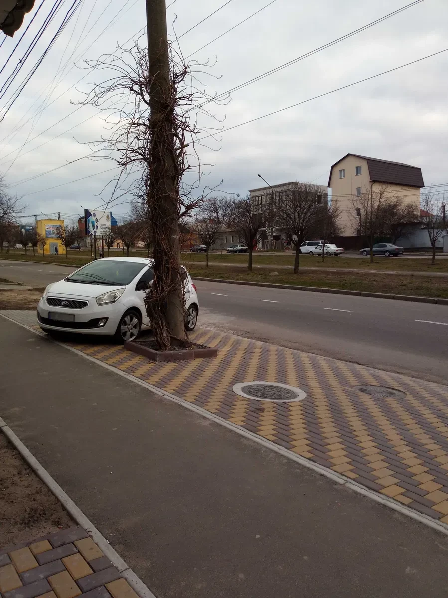 Будинок, Заводський: офісна будівля, сонячна електростанція 6 кВт, 2 сотки - фото 2