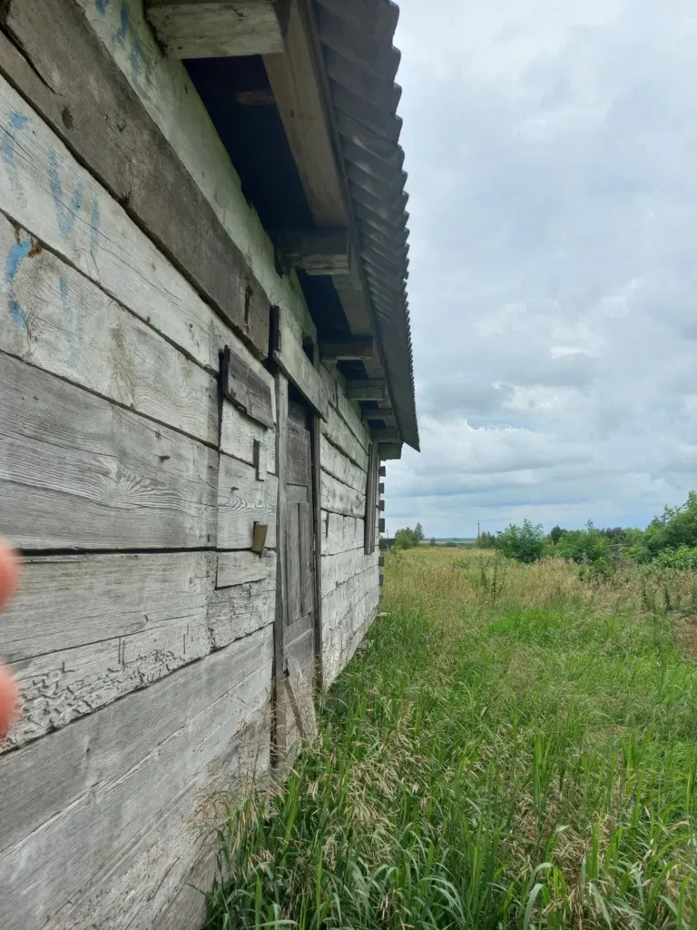 Ділянка 15 соток, Луків: каркас дерев'яного будинку, поруч ліс - фото 1