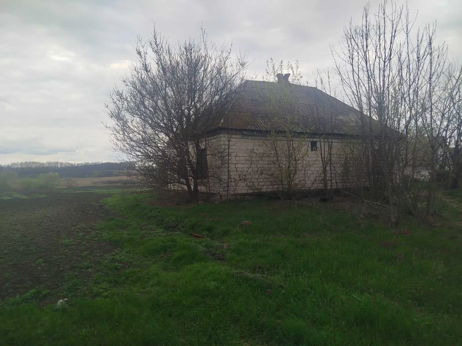 Дача, Драбів: річка поруч, 65 соток, приватизована земля