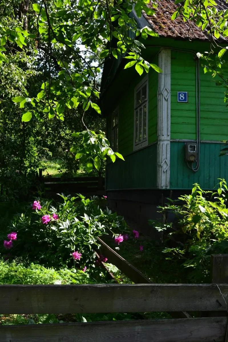 Дом, Локачи: жилое состояние, хозяйственные постройки - фото 3