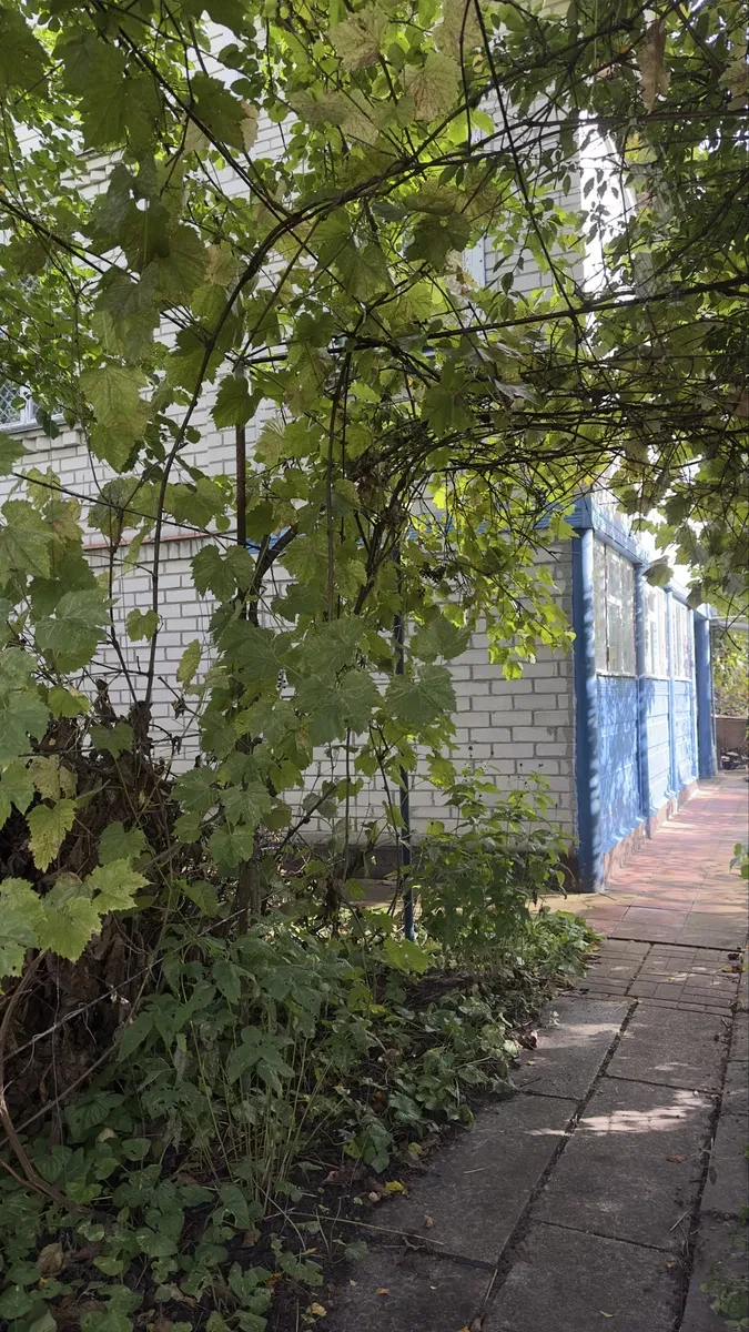 Будинок, Княжичі: станція Ялинка поруч, газове опалення, гараж, фото 3