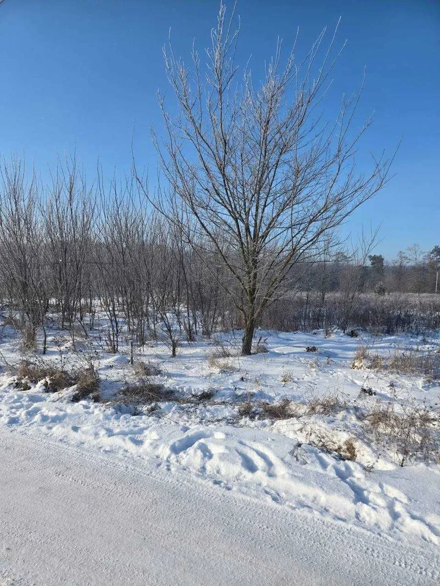 Ділянка 4 соток, Бохоники: асфальтована дорога, до 5 км від Вінниці - фото 4