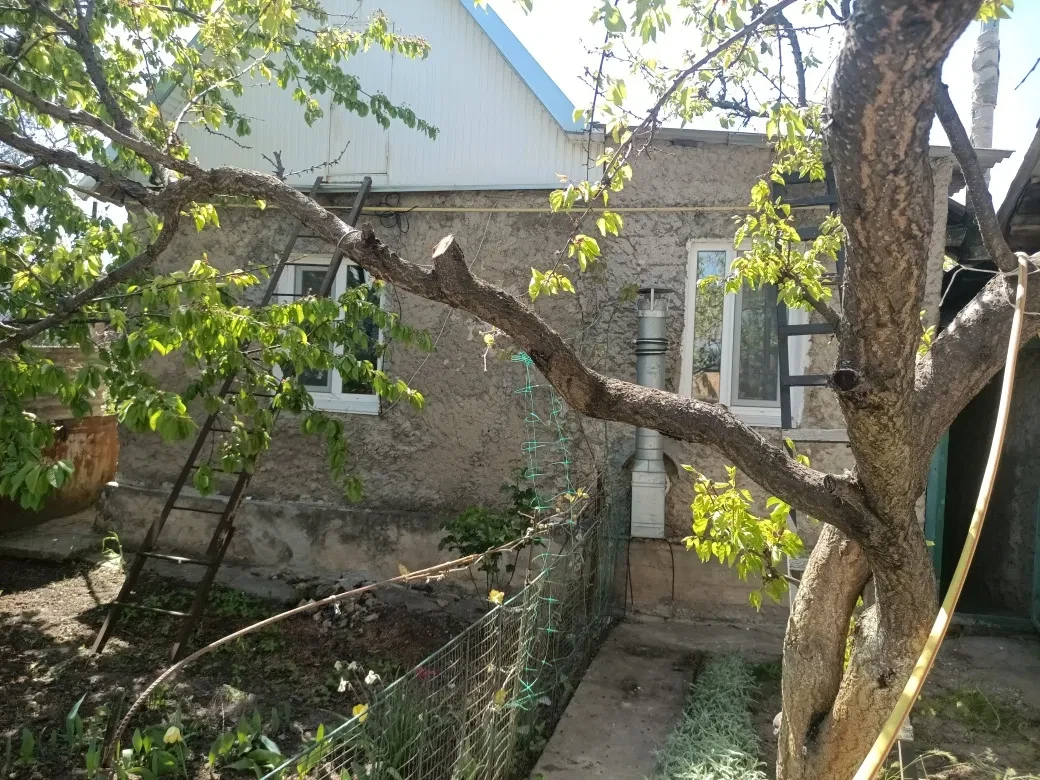 Будинок, Херсон: два будинки, один під реконструкцію - фото 3