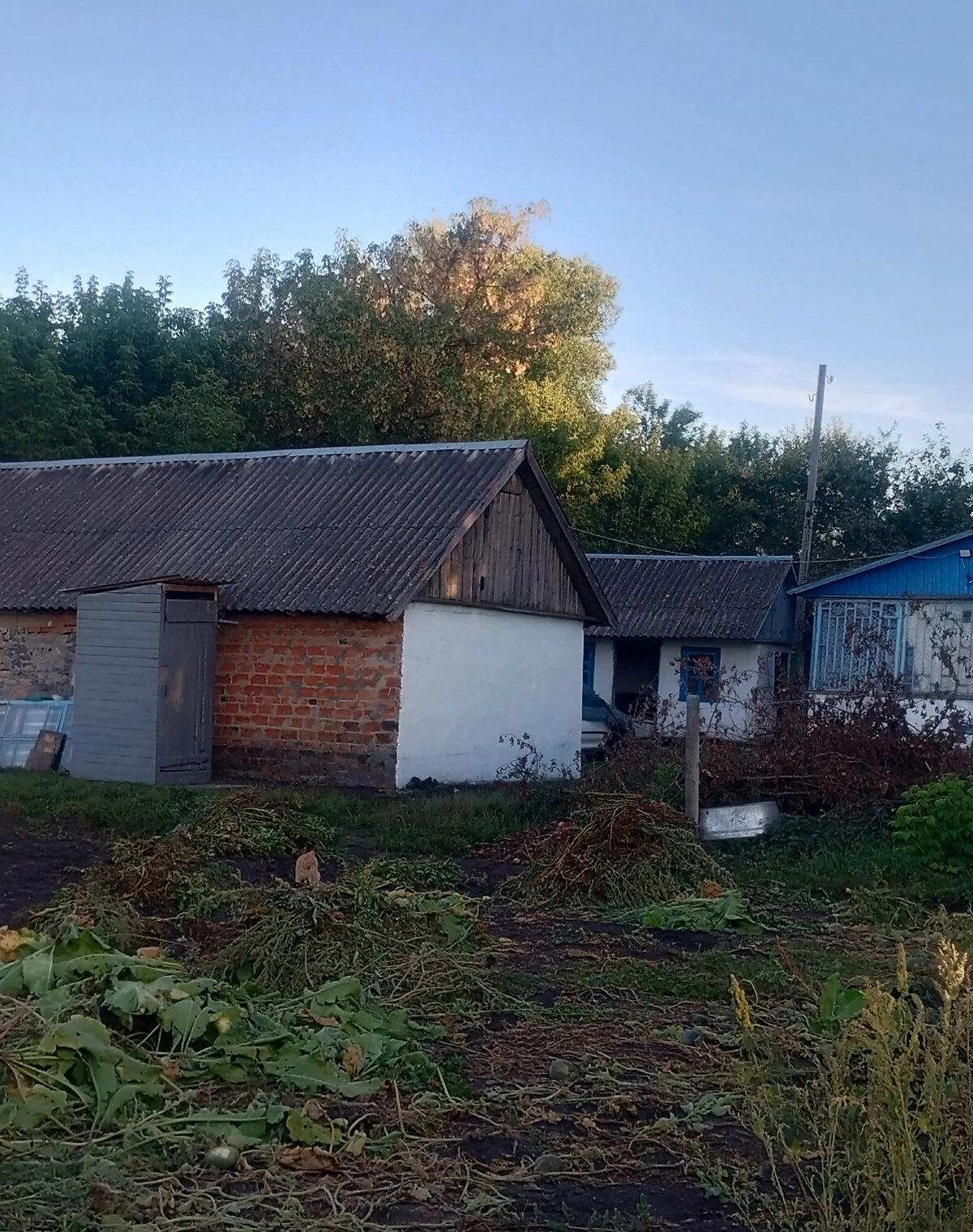 Будинок, Сокільча: веранда, 25 соток, пічне опалення - фото 5