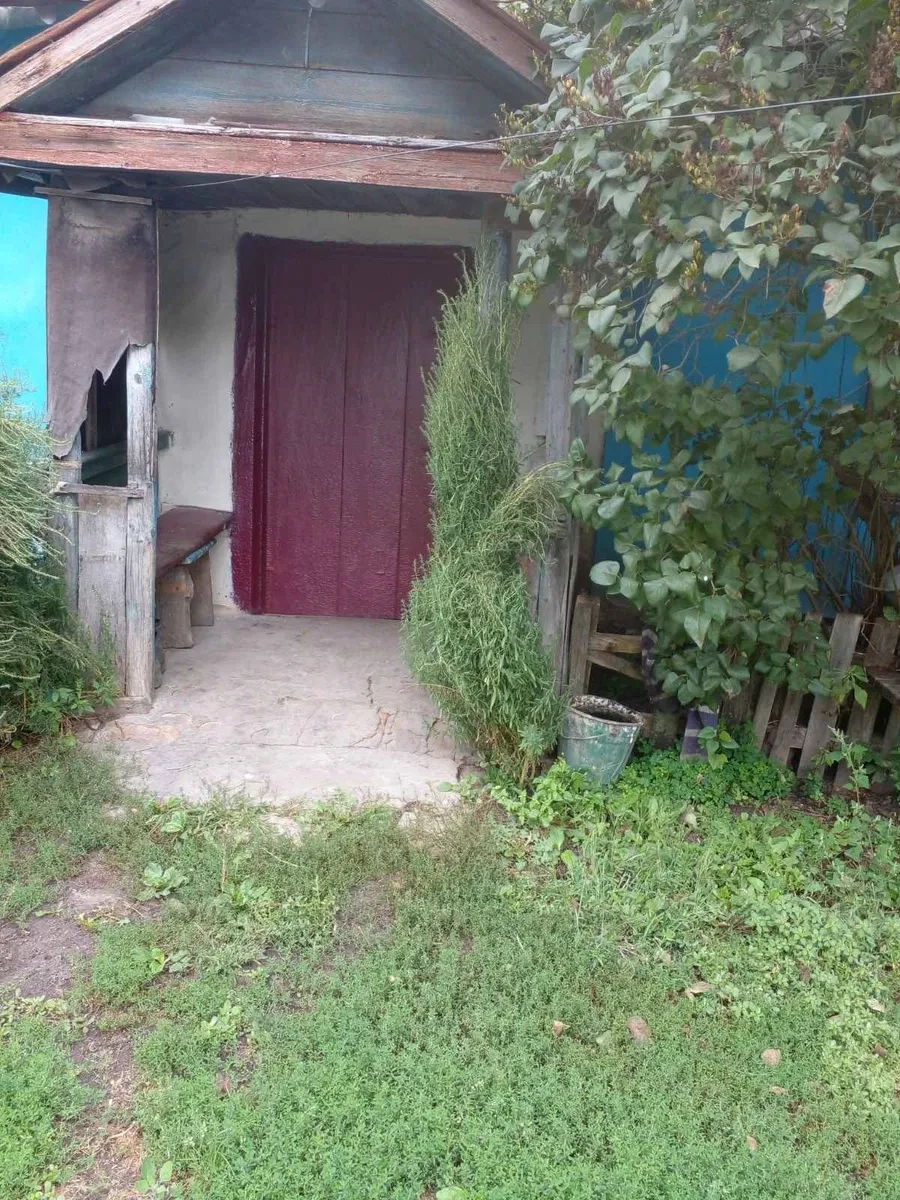 Дача, Новая Басань: 29 соток, новый погреб, фото 2