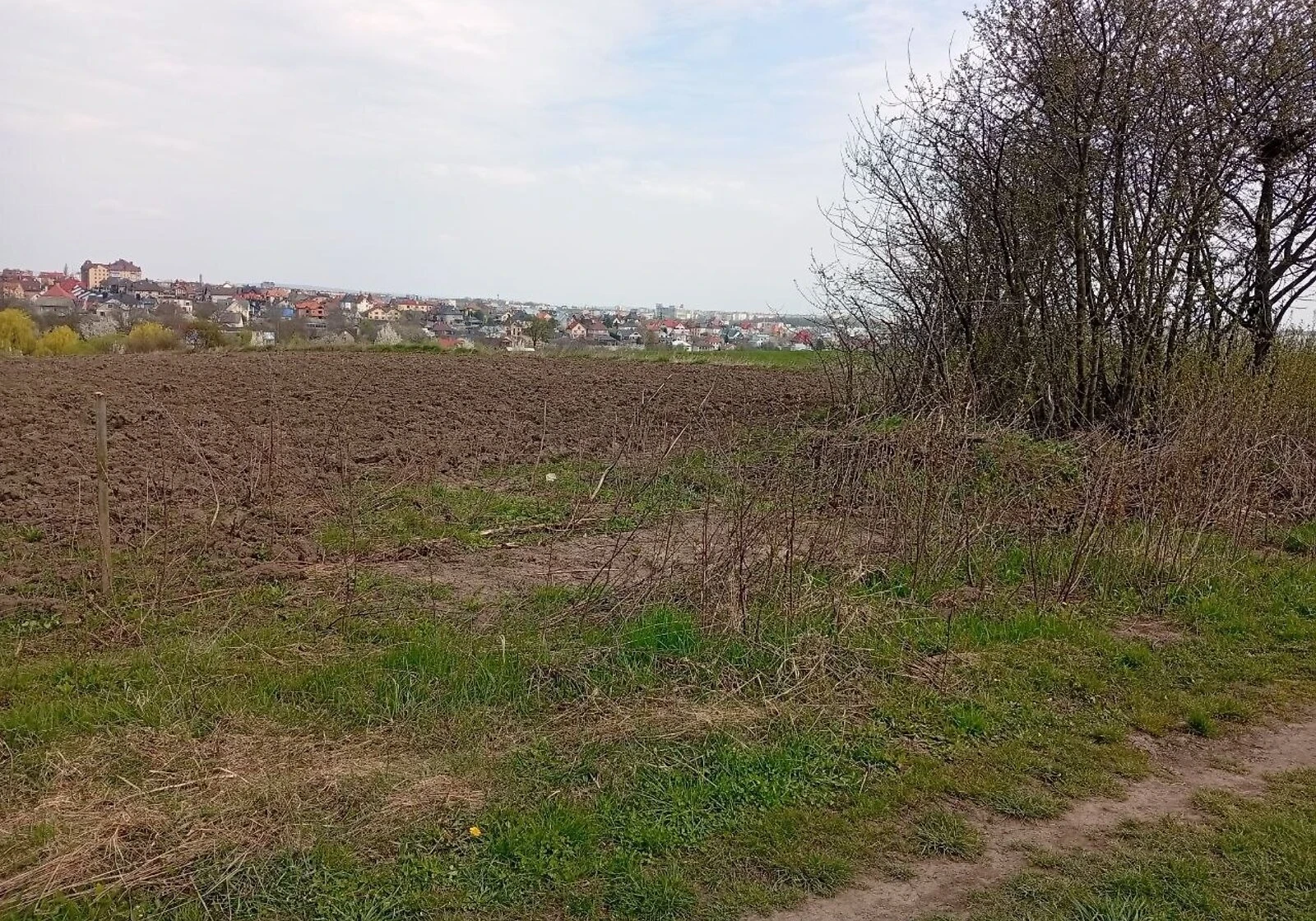 Ділянка 19.37 соток, Великий Кучурів: чорнозем, електрика - фото 1