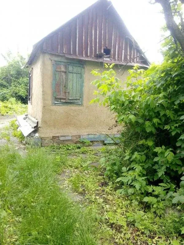 Будинок, Новобаварський: річка в кінці ділянки, торг, фото 4