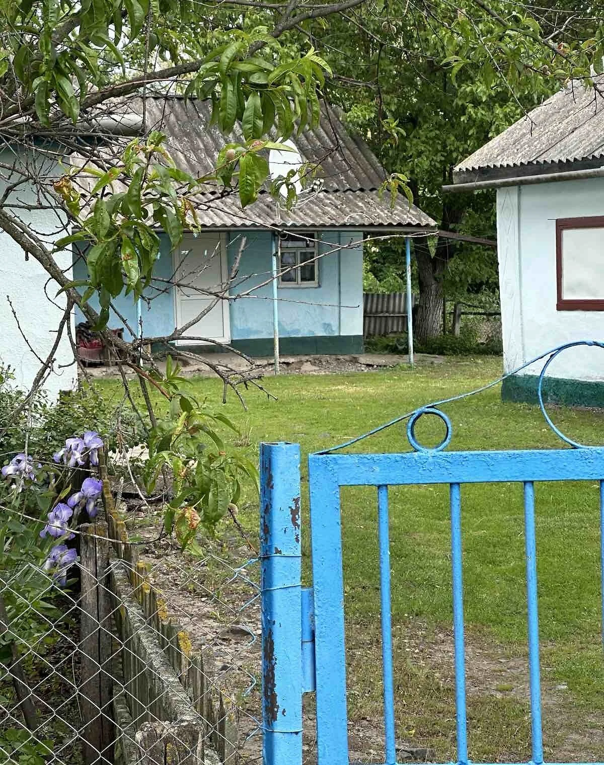 Будинок, Сабатинівка: ділянка 80 соток, літня кухня, торг, фото 3