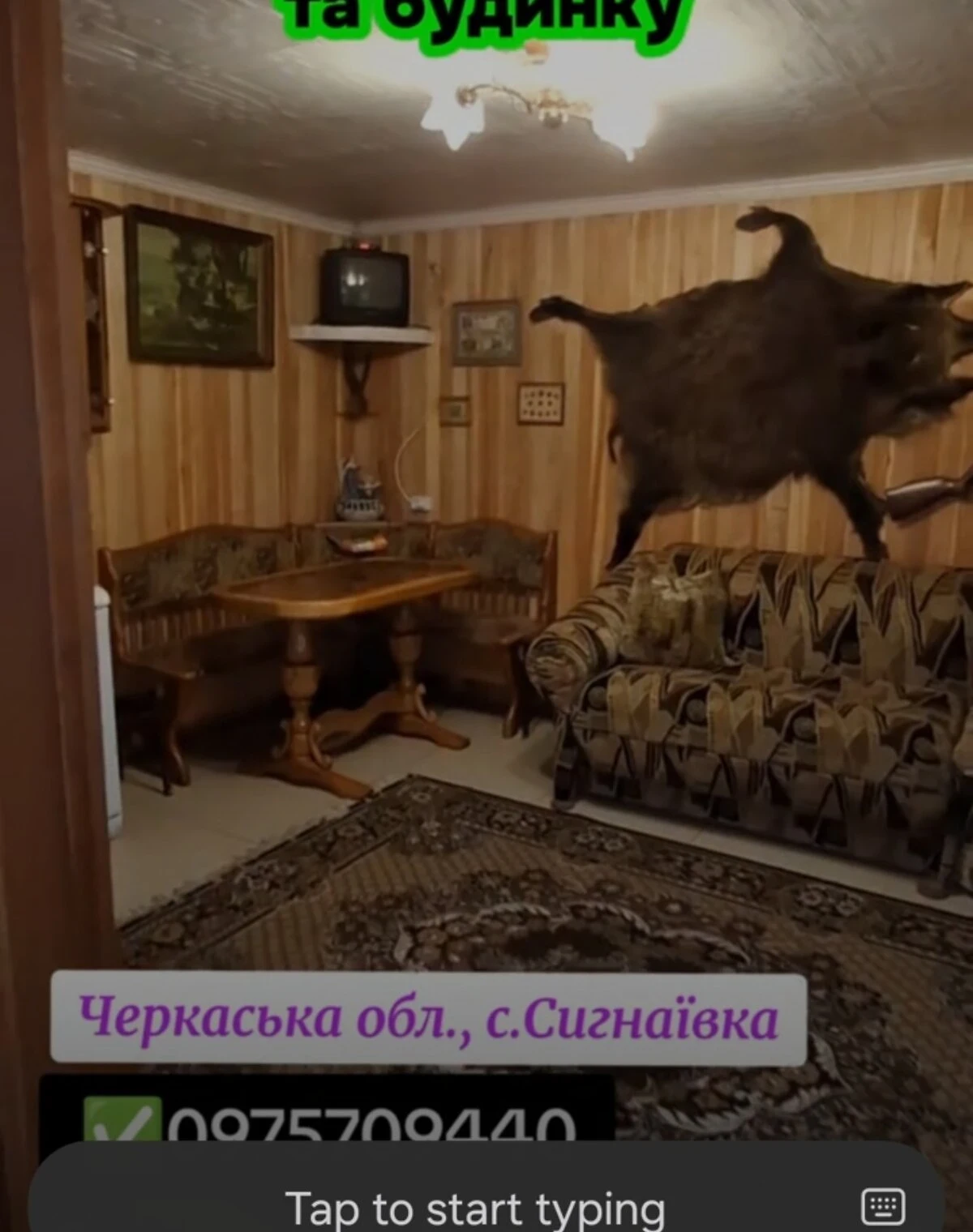 Спеціальне приміщення, Сигнаївка: діючий бізнес, ділянка 2.5 гектара - фото 2