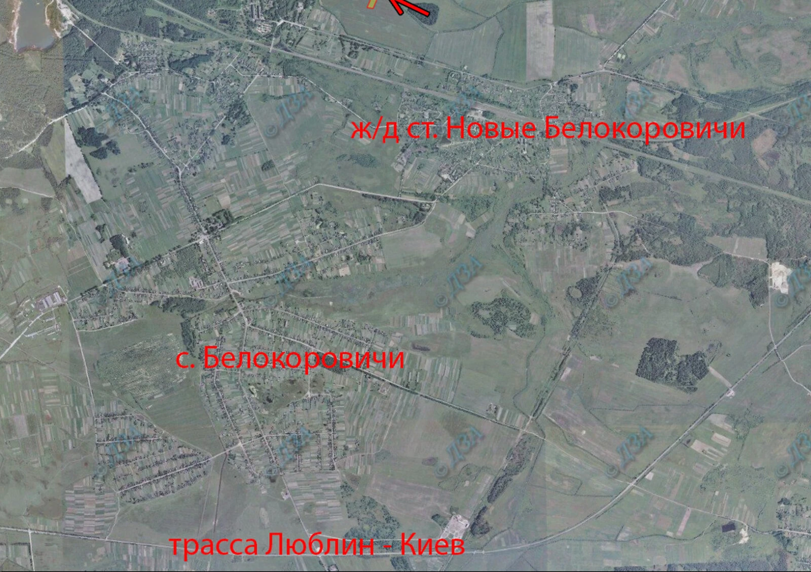 Ділянка, Нові Білокоровичі: сільськогосподарське призначення - фото 2