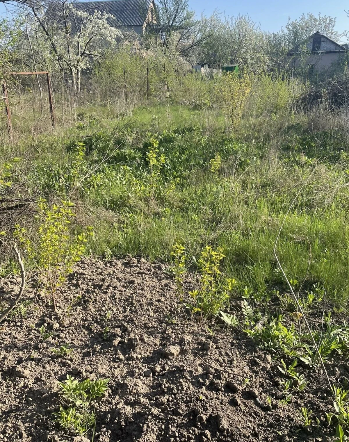 Ділянка 5.98 сотки, Підгороднє: під будівництво, садівництво - фото 3