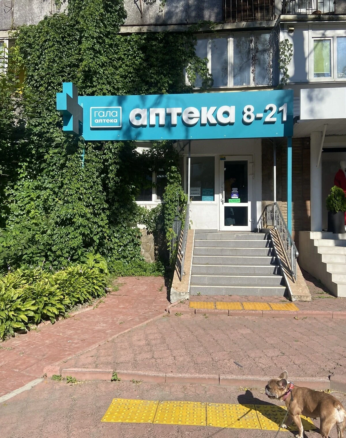 Комерційне приміщення, Вишгород: під аптеку, житловий фонд