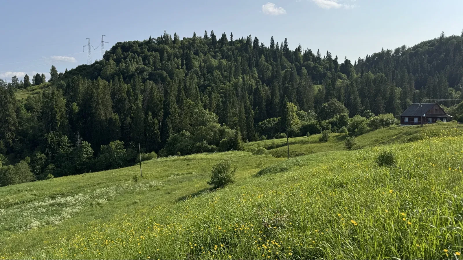 Ділянка 20 соток, Славське: дозвіл на будівництво, вид на гори