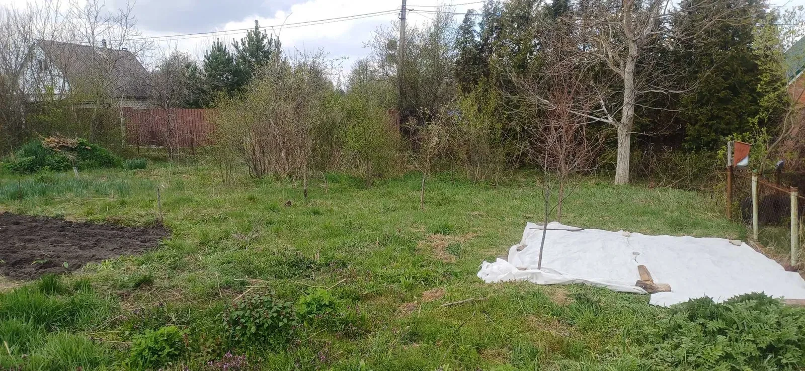 Дача, Іванівка: до 5 км від Житомира, ліс і озеро поруч, фото 4