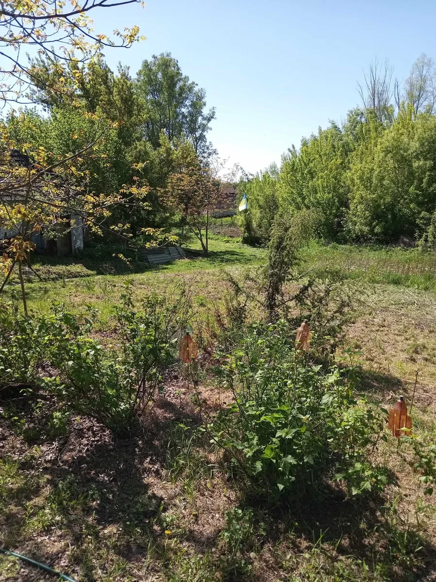 Будинок, Ольшана: 30 соток, обмін, поруч ліс, фото 5