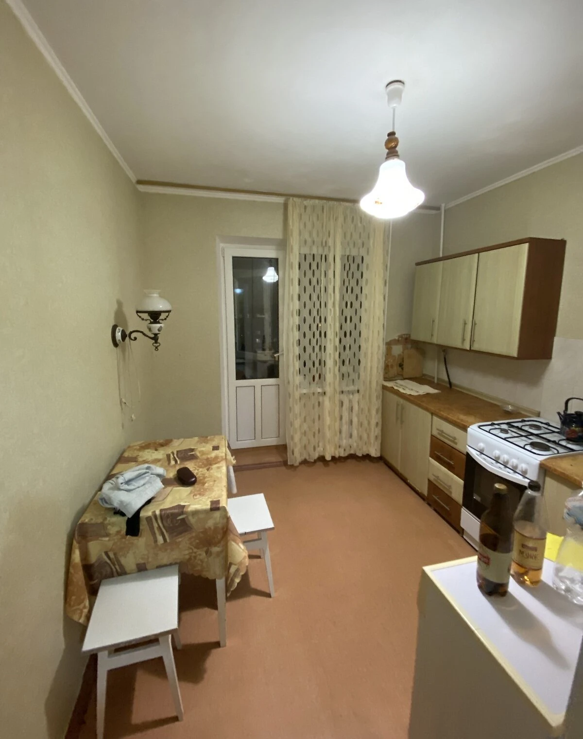 1-кімнатна квартира, Зарічний: газ і вода без світла, можливий торг - фото 3