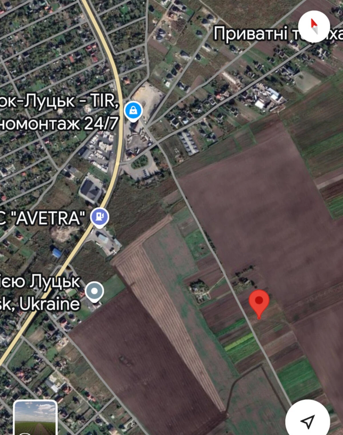 Ділянка 25 соток, Підгайці: сільськогосподарське призначення, 100 × 25 м - фото 2