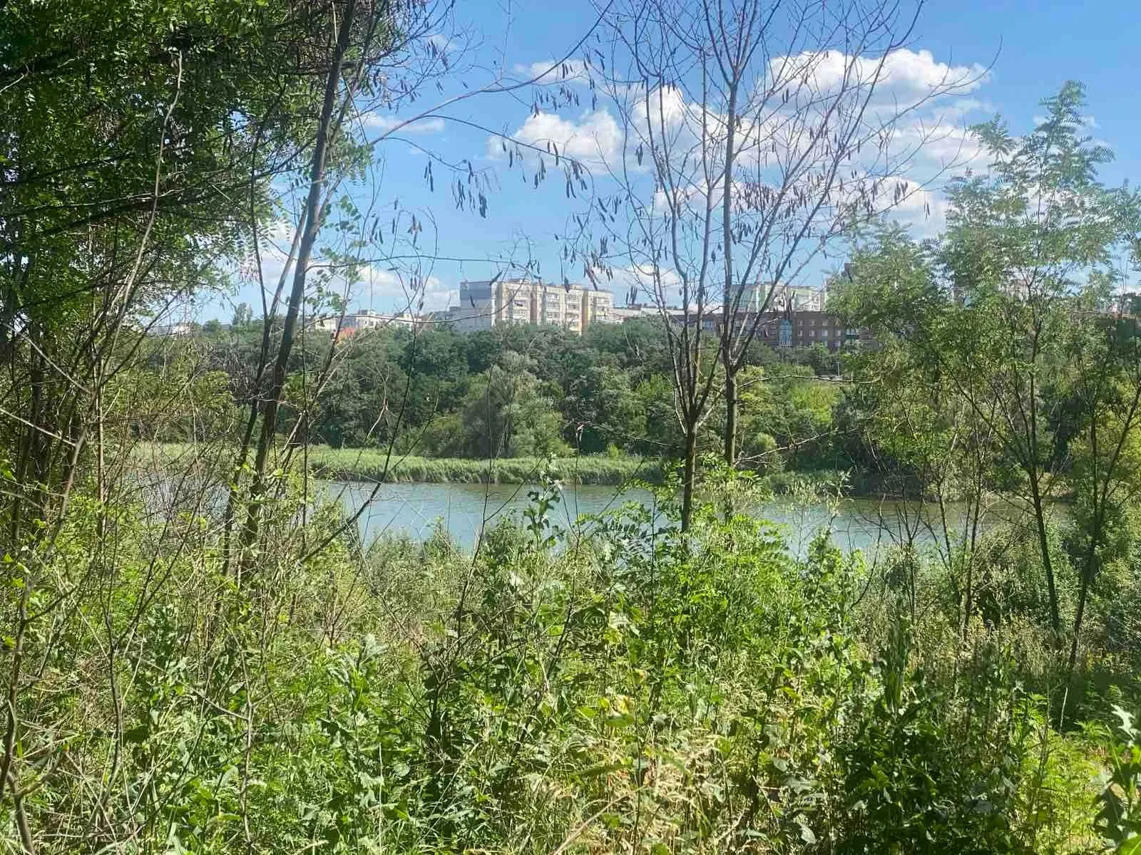Ділянка 10 соток, Полтава: під забудову, біля ставів, електрика - фото 2